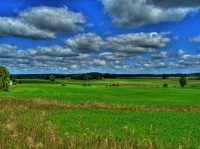 Hilly Farmland in Alden