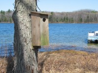 Wood Duck House 04112010 Wood Duck House in Move-in Condition
